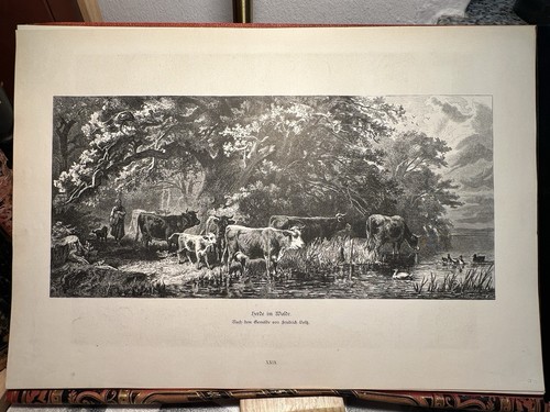 Herd the woods wood - the,