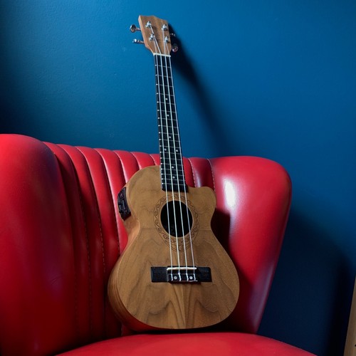 Tanglewood taire twt15e - tanglewood,