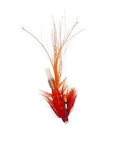 Pot Belly Pig Red & Orange Salmon/Sea Trout Tube Flies Sizes 0.5/1 inch