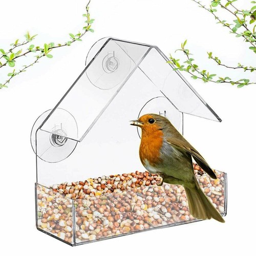 Clear glass window - clear,