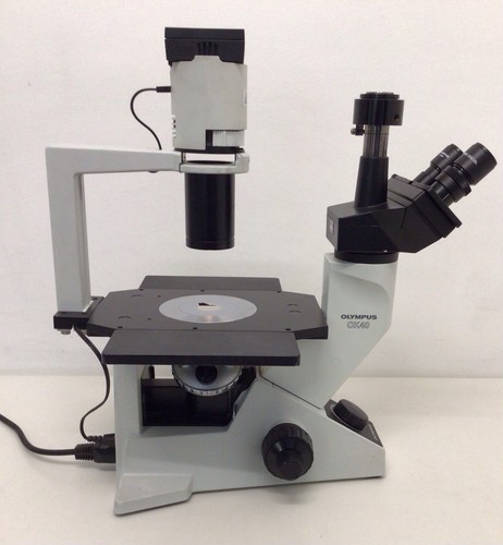 Olympus ck40 inverted - ck40,