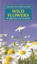 Wild flowers britain and - of,