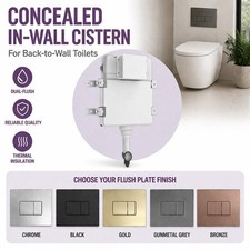 Concealed In-Wall Dual Flush