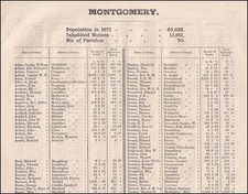 1873. MONTGOMERYSHIRE. THE