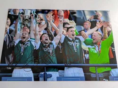 Hibernian hibs 2016 - hibernian, fc
