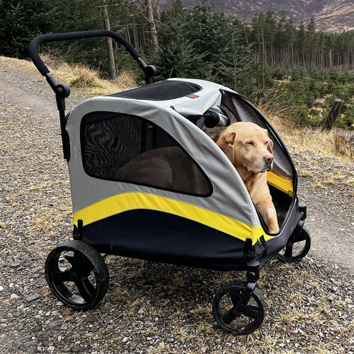 Folding extra large dog - extra,