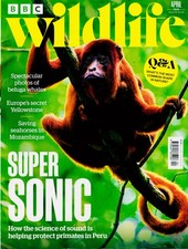 BBC WILDLIFE MAGAZINE APR 26