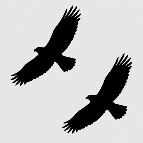 Bird silhouette window - bird,