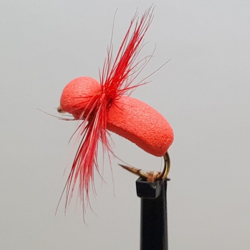 Red ant foam - ant, fly