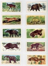 Brooke Bond Prehistoric