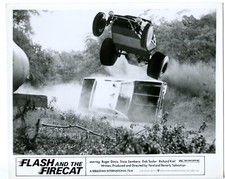 Flash and the Firecat 8x10