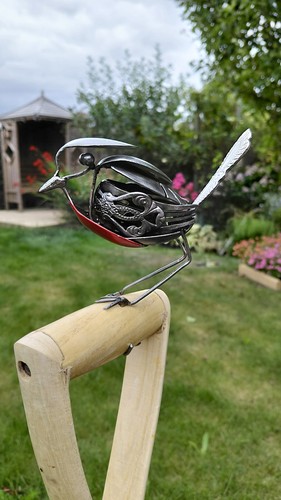Robin spade - spade.,