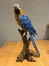 New vivid arts real life - new,