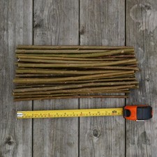 25 X Hybrid Willow Premium Cuttings. Grows Over 6 Metres a Year!