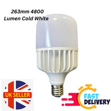 60W Extra Large LED Light E40
