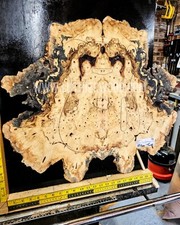 Buckeye Burl Guitar Top Bass