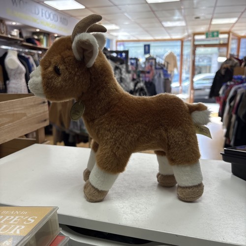 Aurora miyoni goat - miyoni,