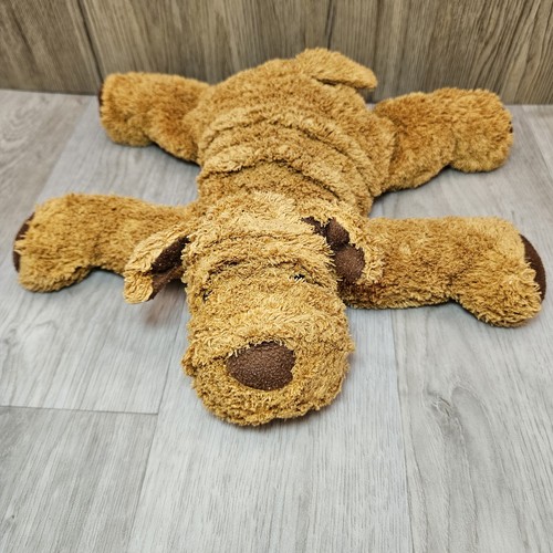 Michael dog puppy brown - michael,