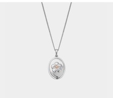 CLOGAU ❤️ NATURES WONDER