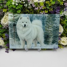 Samoyed Winter 8inchx11inch