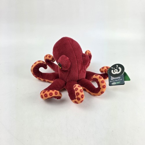 Living nature red octopus - living,