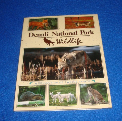 Vintage denali national park - vintage,