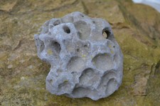 1 Large Hag Stone Witches/Wishing Stones/Holey Stones with Holes from Ireland