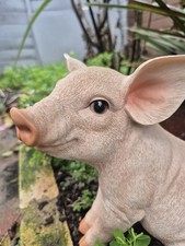 Vivid Arts Baby Piglet Resin