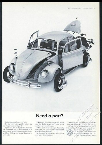 1965 beetle classic car - beetle,