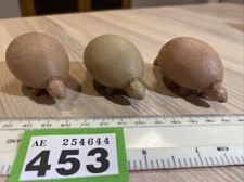 AE451 3 x Invicta NHM