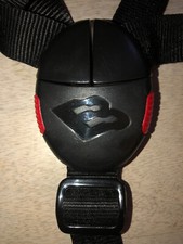 Harness Straps And Buckle For