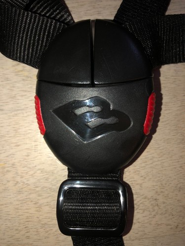 Harness straps and buckle - harness,