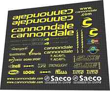 Saeco Cannondale CAAD4 Mario Cipollini team issue DECAL SET
