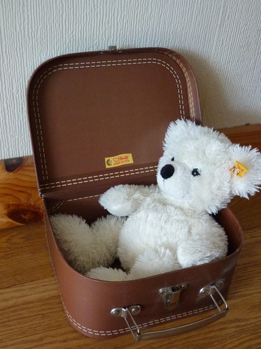 Steiff bear lotte - steiff, in