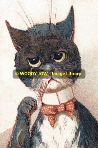 Rp13524 louis wain cat - -,