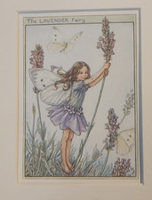 Lavender Fairy Vintage Flower