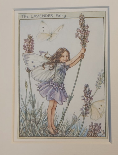 Lavender fairy vintage flower - vintage,