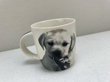 CHURCHILL `LABRADOR