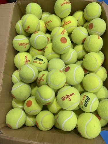 Wilson orange dottennis - 50,