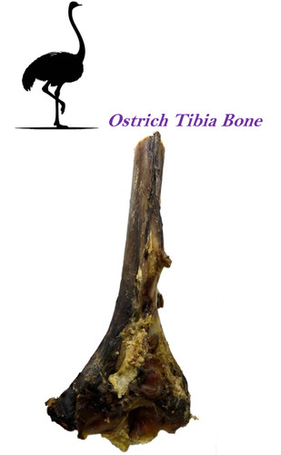 100 ostrich large tibia - 100%,