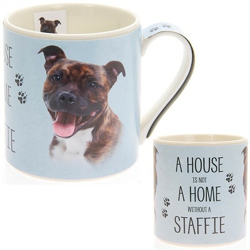 New boxed staffie dog artistic - dog,