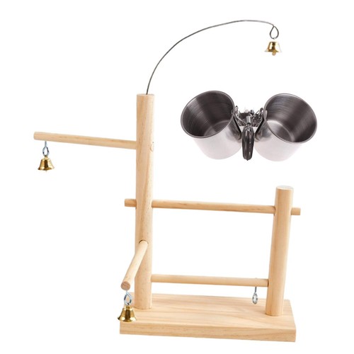Parrot playstand bird - parrot,