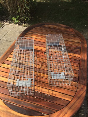 Squirrel rat trap humane - 2, /