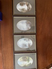 Signed By Artist 4 Lithograph