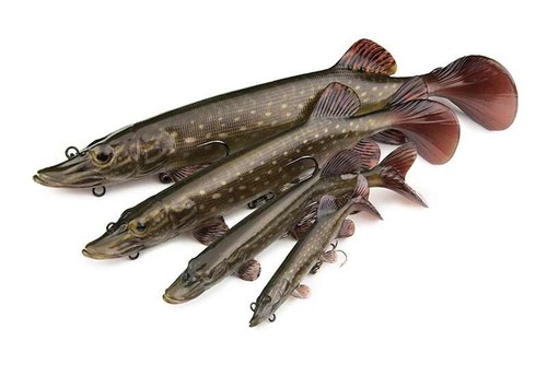 Fox rage pike fishing - rage,