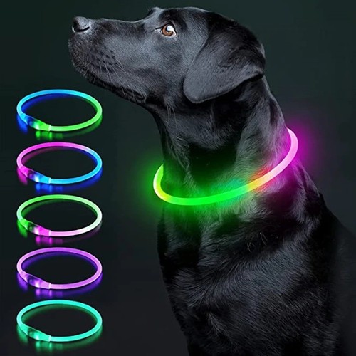 Flashing led light dog - flashing,