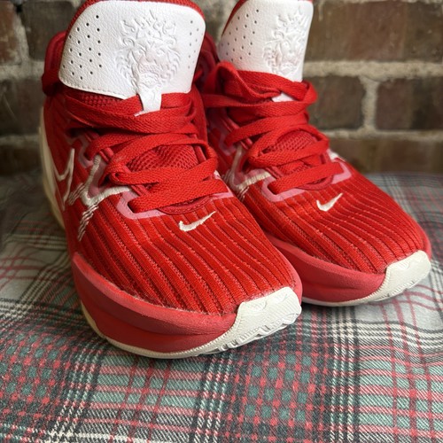 Nike lebron witness mens - lebron, tb