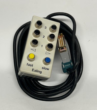 Ealing Control Pendant