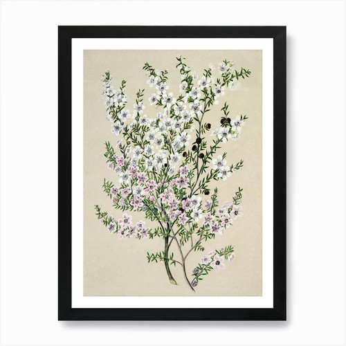 Chinese cherry blossoms art - blossoms,