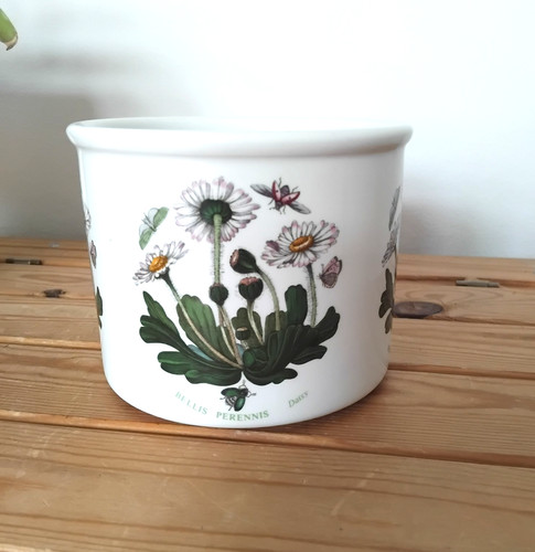 Vtg portmeirion botanic indoor - vtg,